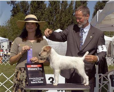 Stud Dogs in OR